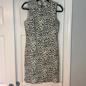 Loft Leopard Print Dress - image 1